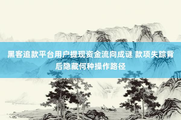 黑客追款平台用户提现资金流向成谜 款项失踪背后隐藏何种操作路径